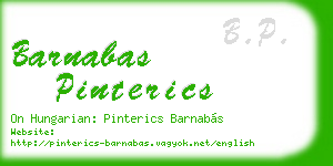 barnabas pinterics business card